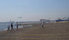 城南島海浜公園　つばさ浜にて（範囲を設定して収集＆調査）