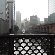 #004　昌平橋のユリカモメ（2016.03.08）